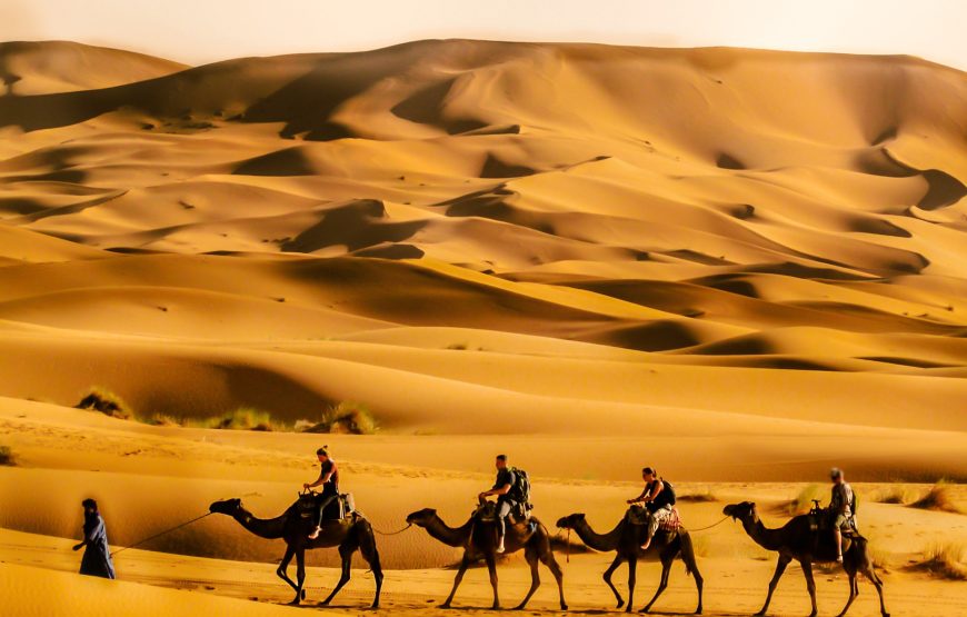 Excursion de deux jours / une nuit vers zagora 