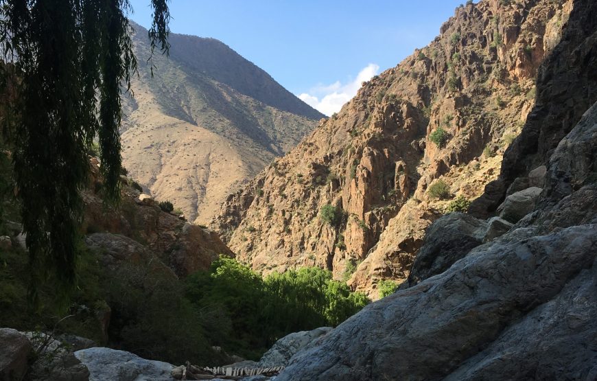 Excursion d’une journée dans la vallée de l’Ourika