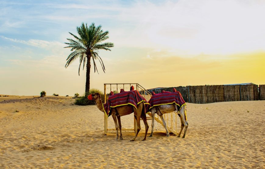 Excursion de deux jours / une nuit vers zagora 