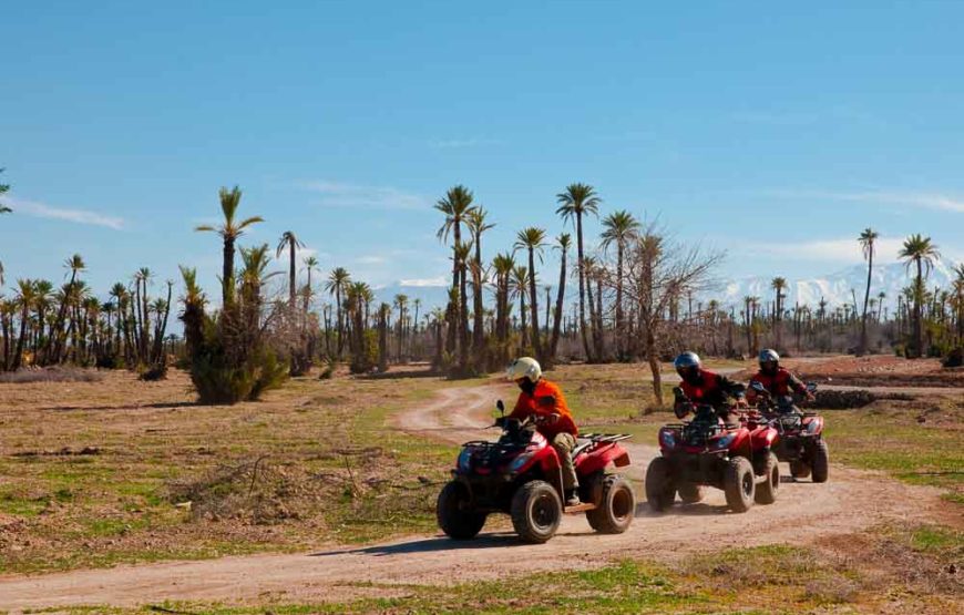 Quad à la Palmeraie de Marrakech