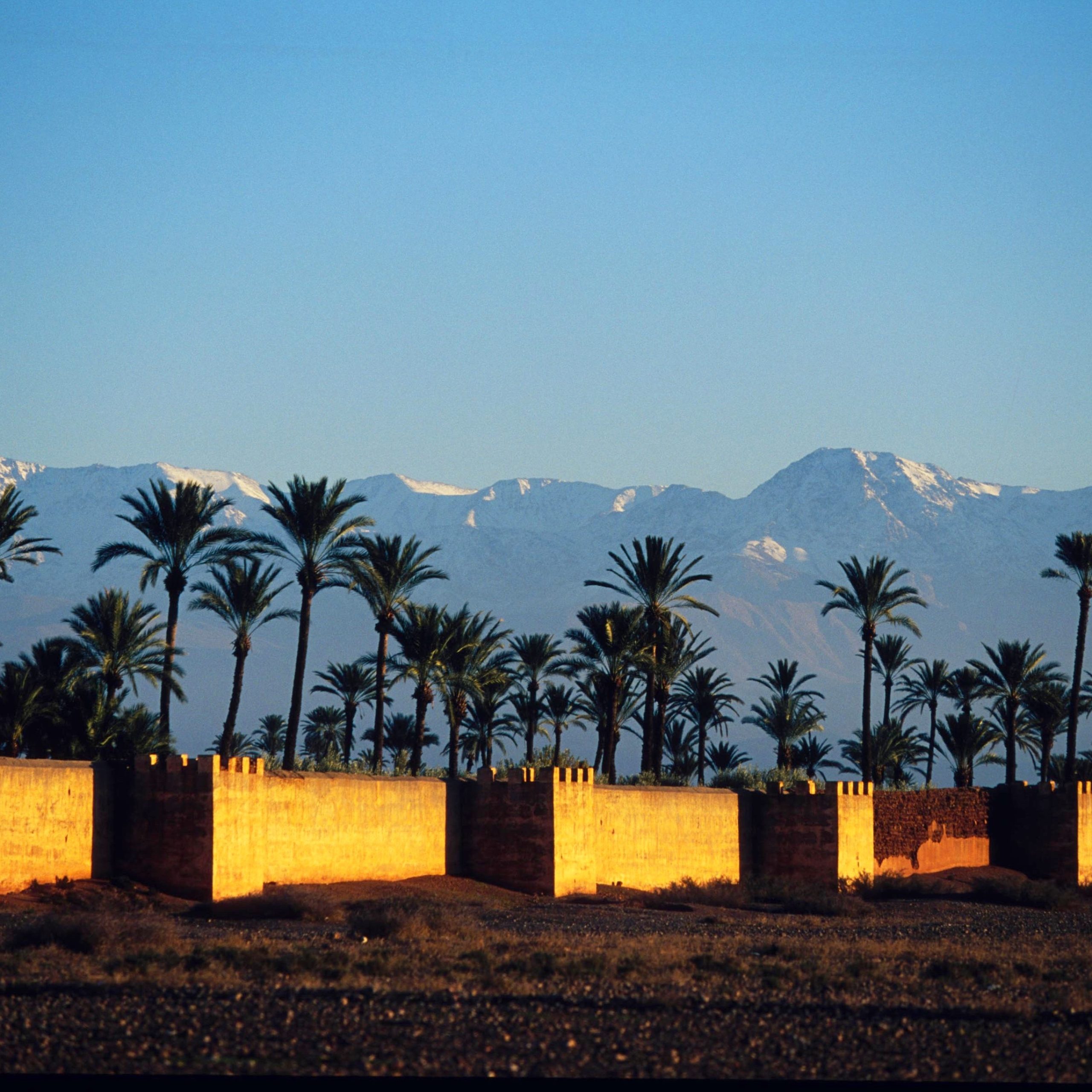 BIO TOURS MARRAKECH 