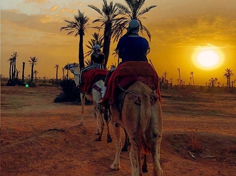 BIO TOURS MARRAKECH 