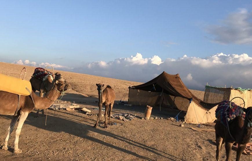 Buggy et dromadaire au coucher du soleil au désert d’Agafay