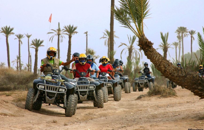 Quad et dromadaire à la Palmeraie de Marrakech