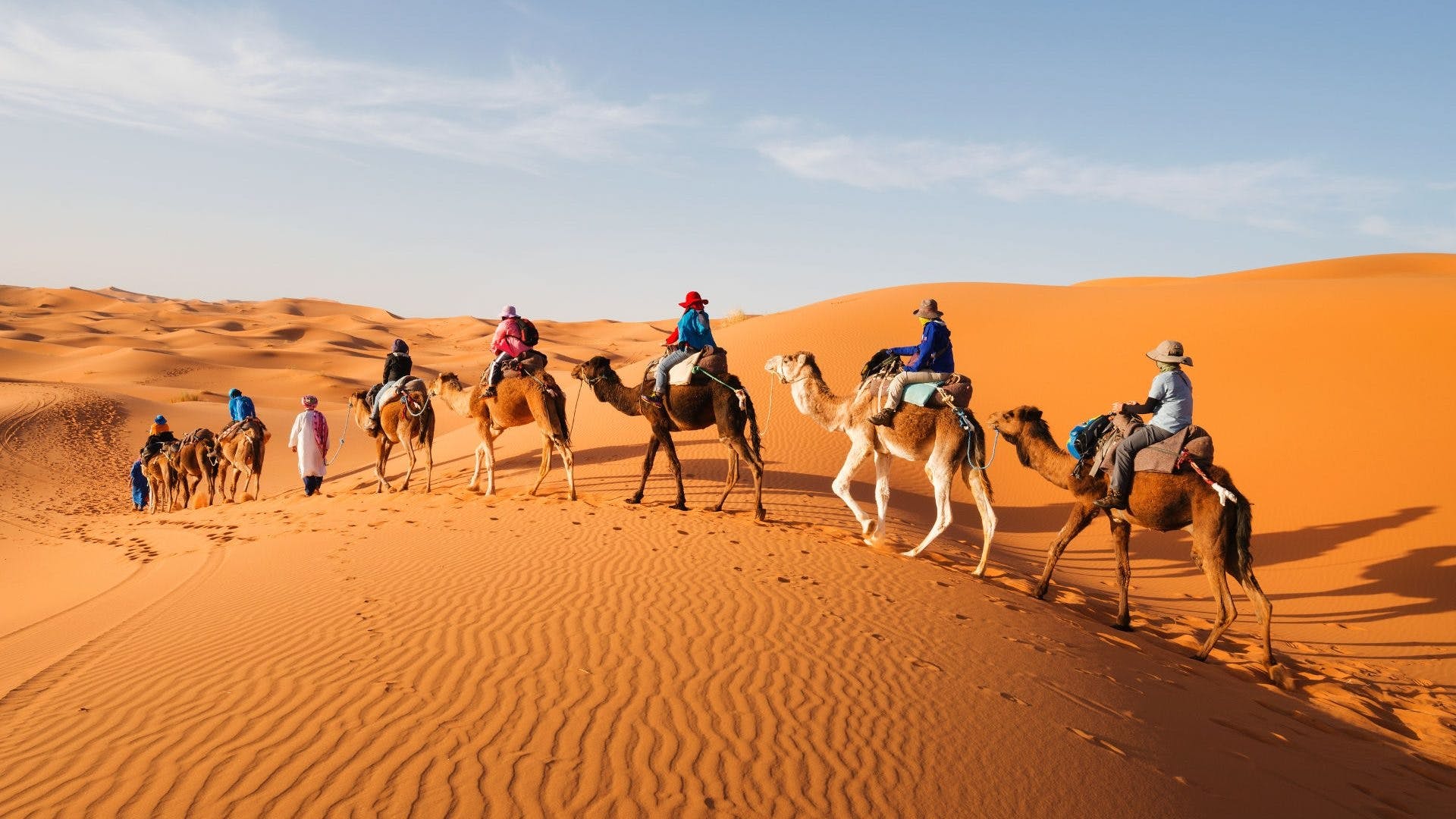 BIO TOURS MARRAKECH 